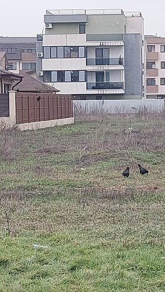 1 Decembrie, Drumul Gura Putnei